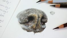 an owl's head is shown with pencils next to it and some writing on the paper