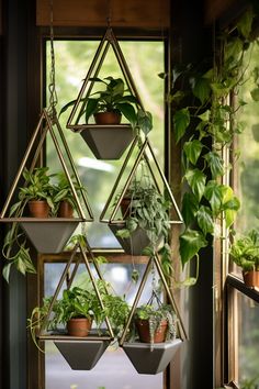 some plants are hanging from the side of a window