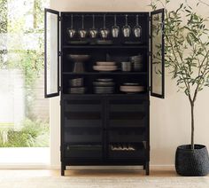 a tall black cabinet with glass doors next to a potted plant and vase on the floor