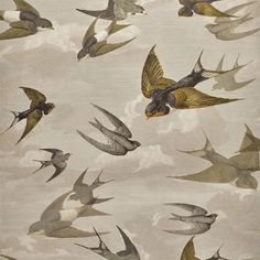 a flock of birds flying through the sky