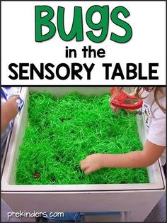 a child is playing with fake grass in a box that says bugs in the sensory table