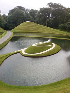 a large body of water surrounded by grass