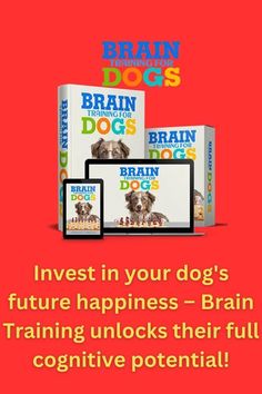 Brain Training For Dogs