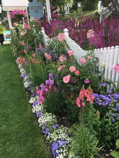 colorful flowers line the side of a white picket fence