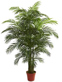 a potted palm tree in a red planter