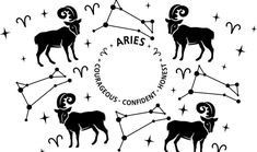 zodiac signs and their names in black on a white background, with stars around them