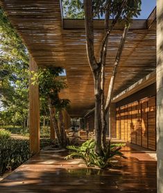 an outdoor covered patio with trees and plants