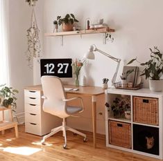 a room with a desk, chair and shelves filled with plants