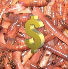 a pile of worms with a dollar sign on it's end in the middle