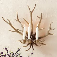 Antler Candle Holder Hobby Lobby, Candle Wall Sconces Living Room Rustic, Moose Antler Lights, Antler Wreath Holder, Antler Wall Lights, Gold Antler Candle Holder, Stag Head Candle Holder, Elk Mount Above Tv, European Deer Mount Over Fireplace