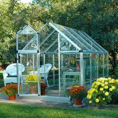 a greenhouse with potted plants and flowers in it