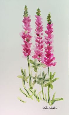 some pink flowers on a white background