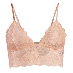 Free People Intimately Everyday Lace Longline Bra In Tuscany, Sz Xl, Nwt Free People Style, Longline Bra, Free People Intimates, Lace Bralette, Long A Line, Lace Fabric, Tuscany, Floral Lace, Pullover Styling