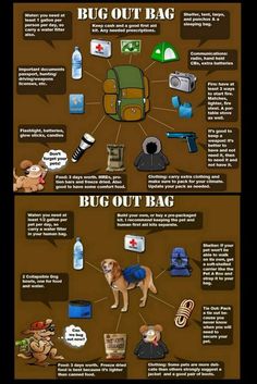 WE ARE SAFE!!~  prepping safety  camping bug out bag kits dog and human Dog And Human, Survival Skills Emergency Preparedness, Emergency Prepardness, Camping Safety, Emergency Survival Kit, Doomsday Prepping, Emergency Preparedness Kit, Survival Skills Life Hacks, Emergency Preparation