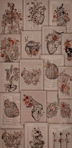 an old book with drawings of human heart, lungs and flowers on it's pages