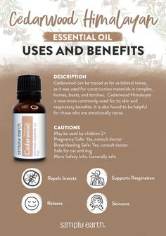 Sleep Diffuser Blends Young Living, Cedarwood Essential Oil Uses Benefits Of, Sleep Diffuser Blends, Cedarwood Essential Oil Uses, Cedarwood Essential Oil Benefits, Cedar Wood Essential Oil Blends, Cedarwood Essential Oil Young Living, Young Living Cedarwood, Atlas Cedarwood Essential Oil Blends