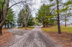 a dirt road surrounded by trees and grass