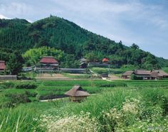 the village is surrounded by lush green hills