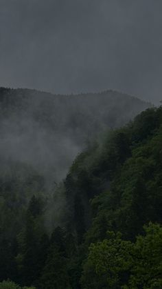 the mountains are covered in thick fog and low lying clouds, with trees on either side