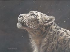 a painting of a white tiger looking up at the sky with snow flakes on its fur