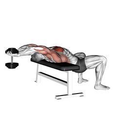 a man is doing the bench press exercise