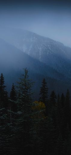 the mountains are covered in fog and trees