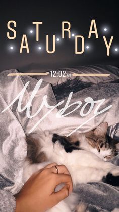 a cat laying on top of a bed next to a person's hand and the words saturday above it