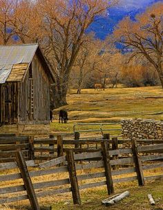 an old barn with a horse in the background