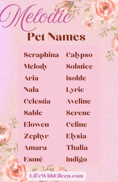 a pink poster with flowers and the words'medetic pet names'on it