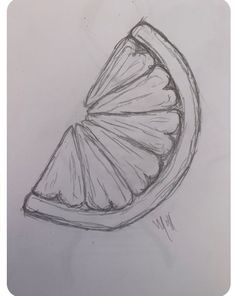 a pencil drawing of a slice of orange