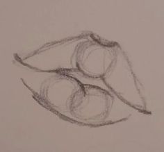 a pencil drawing of two cherries sitting on top of each other