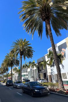 palm trees line the street in front of buildings and parked cars on a sunny day