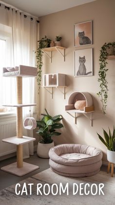 the cat room is clean and ready to be used as a place for some cats