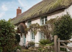 an old thatched roof house with green plants and shrubs around the front door, on a sunny day