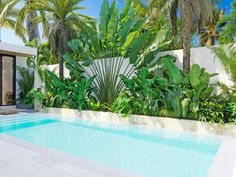 a swimming pool surrounded by palm trees and other greenery in front of a house