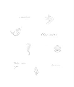 a drawing of seahorses and shells on a white background with the words live ocean written in cursive writing