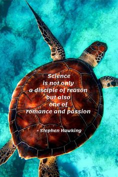 a turtle swimming in the ocean with a quote from stephen hawking on it's back