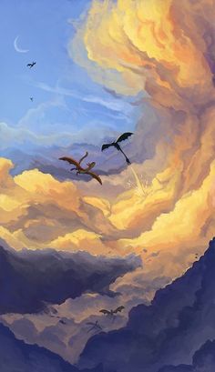 two birds flying in the sky with clouds