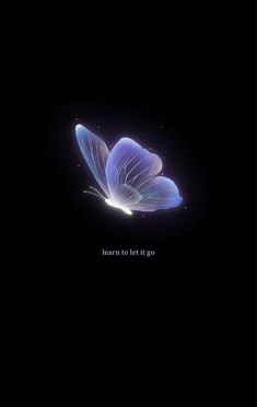 a blue butterfly flying in the dark with words on it's back side and bottom half