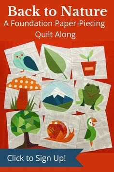 the back to nature quilt pattern is shown