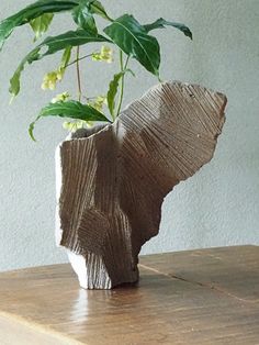 a plant in a vase sitting on top of a wooden table