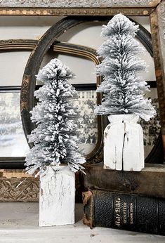 two fake trees are sitting on a shelf next to an old book and mirror in a room