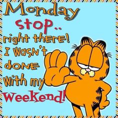 garfield the cat saying monday stop right there i was not done with my weekend