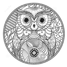 an owl with big eyes sits in a circular frame, surrounded by leaves and swirls