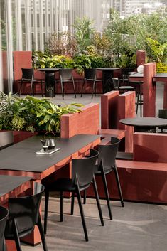 tables and chairs with plants in the middle