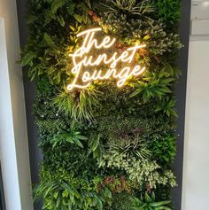 a green wall with the words the sunset lounge written in neon lights on it's side