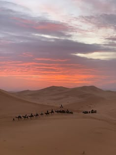 sunset in the desert of merzouga (morocco) Sahara Desert Morocco, Desert Sunset Aesthetic, Morocco Dessert, Marrakech Morocco Aesthetic, Morocco Pictures, Merzouga Morocco, Moroccan Desert, Desert Morocco, Morocco Desert