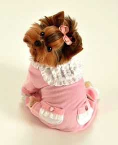 a small dog dressed in pink and white sits on the floor with its head turned to the side