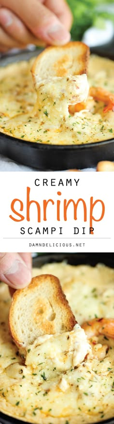 creamy shrimp scamp dip with garlic bread