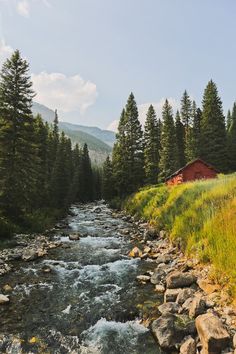 a river running through a lush green forest next to a red cabin on top of a hill